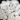 Mixed Pack of 10 MEDIUM Shapes