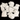 Mixed Pack of 10 Small CHRISTMAS Shapes